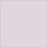Paint · Purple Orchid
