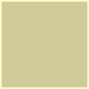 Paint · Rhyne Green