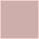 Paint · Rock Rose