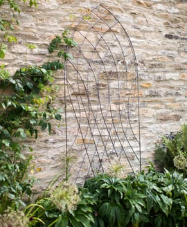 Barrington Arch Trellis