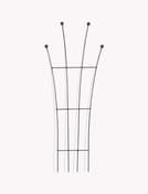 Barrington Fan Trellis Raw Metal Climbing Roses Garden