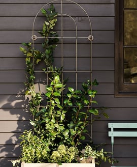 Barrington Wall Trellis Large Raw Metal