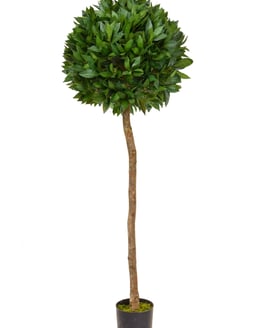 Artificial Bay Laurel Ball Tree 135cm (TL002B)