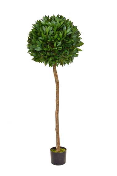 Artificial Bay Laurel Ball Tree 135cm (TL002B)