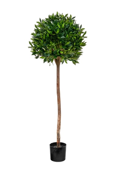 Artificial Bay Laurel Ball Tree D 135cm