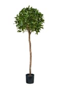 Artificial Bay Laurel Ball Tree 135cm