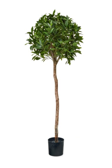 Artificial Bay Laurel Ball Tree 135cm