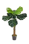 Artificial Caladium 110cm