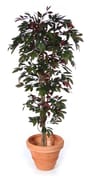 Artificial Capensia Deluxe Liana 180cm Fire Retardant alternative view