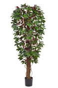 Artificial Capensia Deluxe Liana 180cm Fire Retardant