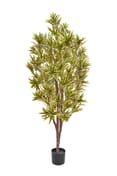 Artificial Dracaena Reflexa 170cm