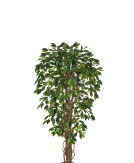 Artificial Ficus Liana Green 120cm Fire Retardant