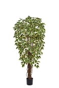 Artificial Ficus Liana Variegated 150cm Fire Retardant