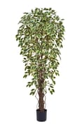 Artificial Ficus Liana Variegated 180cm Fire Retardant