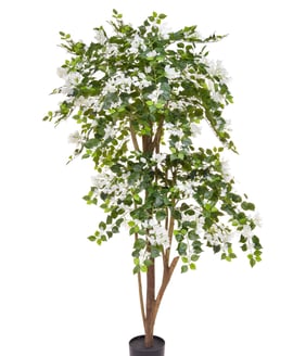 Artificial Flowering Bougainvillea White 180cm