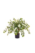 Artificial Flowering Bougainvillea White 90cm
