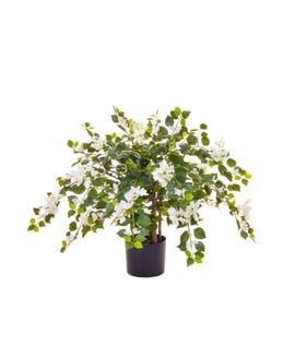 Artificial Flowering Bougainvillea White 90cm