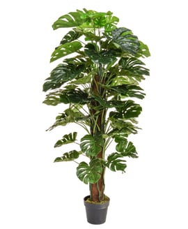 Artificial Monstera 150cm
