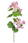 Artificial Bauhinia Purple Cream 85cm