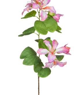 Artificial Bauhinia Purple Cream 85cm