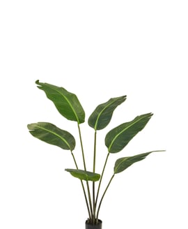 Artificial Bird Of Paradise 120cm Fire Retardant