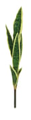 Artificial Sanservera Single Stem 87.5cm