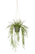 Artificial Hanging Succulent in Rusted Pot 55cm