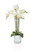 Artificial Phalaenopsis Real Touch Pot 70cm