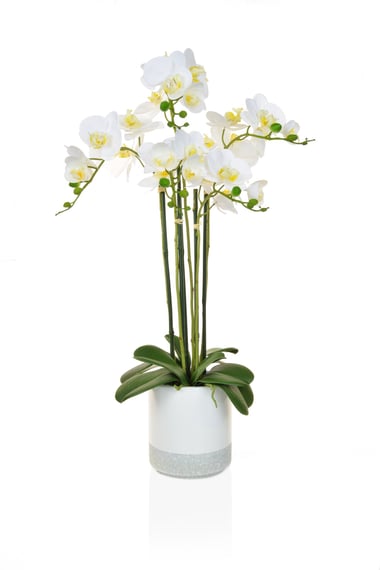 Artificial Phalaenopsis Real Touch Pot 70cm