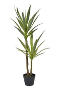 Artificial Yucca in Black Pot 110cm