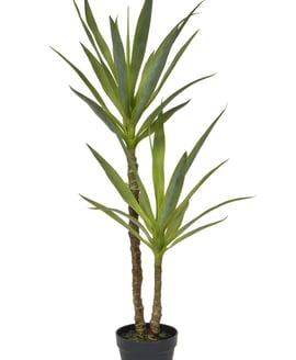 Artificial Yucca in Black Pot 110cm