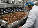 Turkish Raisin Prices Hold Firm as Weather Stays Favourable but Freight Costs Climb