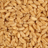 Wheat — protein min. 11,50%, CBOT