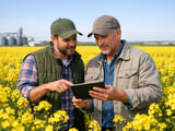 Rapeseed Finds Support from Firm MATIF, Costly Canola and Strong Black Sea Demand