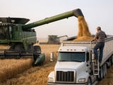 Wheat Market Stays Heavy as Big Stocks Beat Acreage Cut