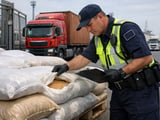 New Export Restrictions on Fertilizers and Staple Crops Reignite Supply Risk for Global Agriculture