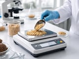 Chinese Pine Nut FOB Dalian Prices Steady Amid Quiet Export Demand