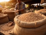 Chickpeas Market: Weak Mill Buying Meets Festive Demand Support