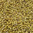 Coriander seeds