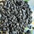Sunflower seeds