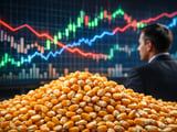 创纪录的阿根廷玉米产量笼罩横盘的全球市场