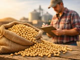 Soybean Complex Firms as Futures Curve Steepens and FOB Values Edge Higher