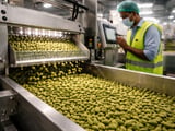 Indian Cardamom Prices Edge Higher as Auctions Signal Firm Tone
