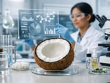Southeast Asian Coconut Prices Tick Higher as Weather Risks Build