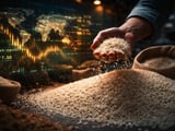 Indian and Vietnamese Rice FOB Prices Steady as Weather Risks Linger