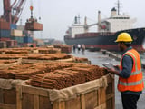Indian and Vietnamese Cinnamon Prices Hold Firm as Monsoon Sets In