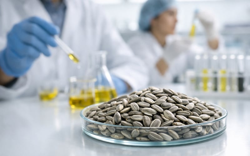 Ukraine sunflower prices soften as processors step back from the market