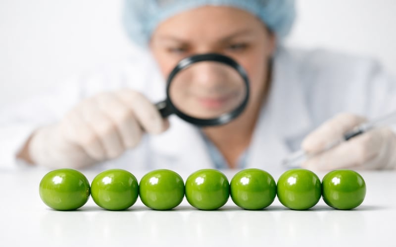 Ukrainian Pea Prices Soft but Stable as New Crop Approaches