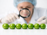 Ukrainian Pea Prices Soft but Stable as New Crop Approaches