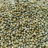 Millet seeds — hulled, yellow